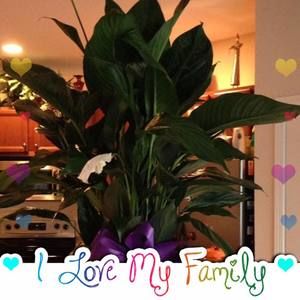 Meet your Posher, Viola